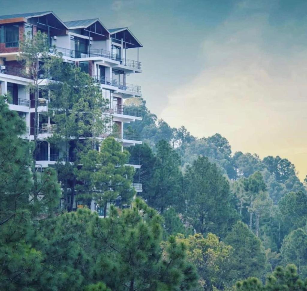 Mountain Height Kasauli Lejlighed Eksteriør billede